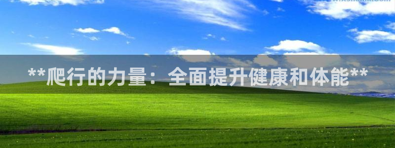 意昂2官方平台