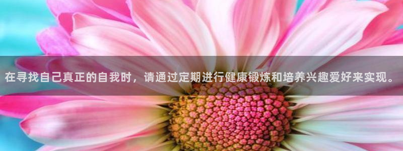 意昂2招商